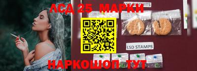 гашик Обнинск