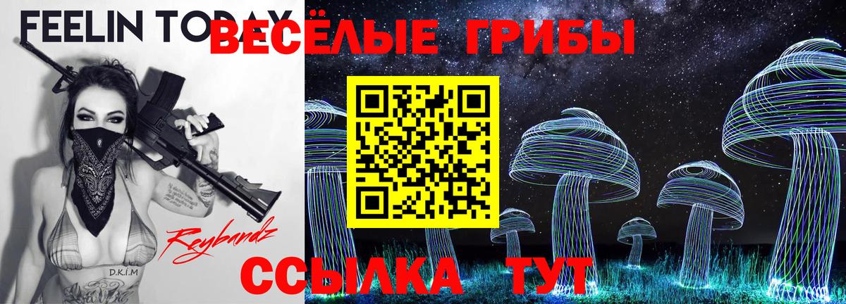 Чайковский  Псилоцибиновые грибы GOLDEN TEACHER  Вход с VPN 